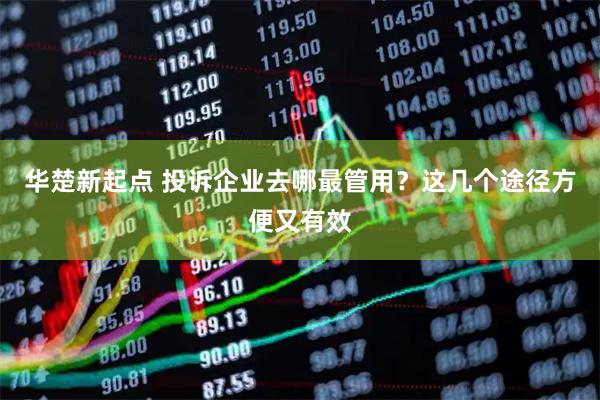 华楚新起点 投诉企业去哪最管用？这几个途径方便又有效
